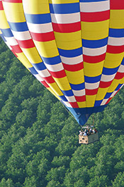Photo Contest Image